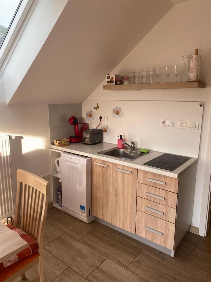 Apartment Marjetka Zirovnica Luaran gambar